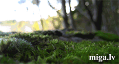 Desktop Screenshot of hho.miga.lv